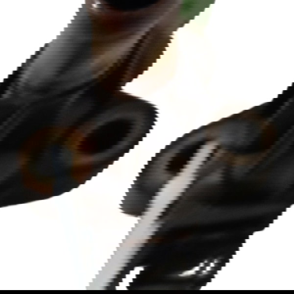 Sensor Temperatura Cavalete Água Fiat Palio 2003 2004 2005