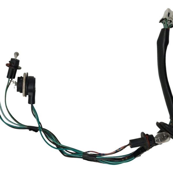 Chicote Lanterna Traseira Nissan Sentra 2.0 2009 2010 2011