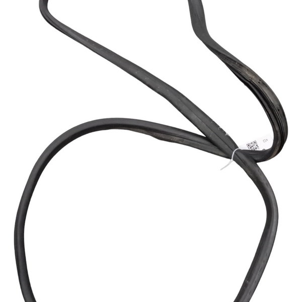 Borracha Vedação Porta Traseira Dir/esq Volkswagen Fox 2014 Preto