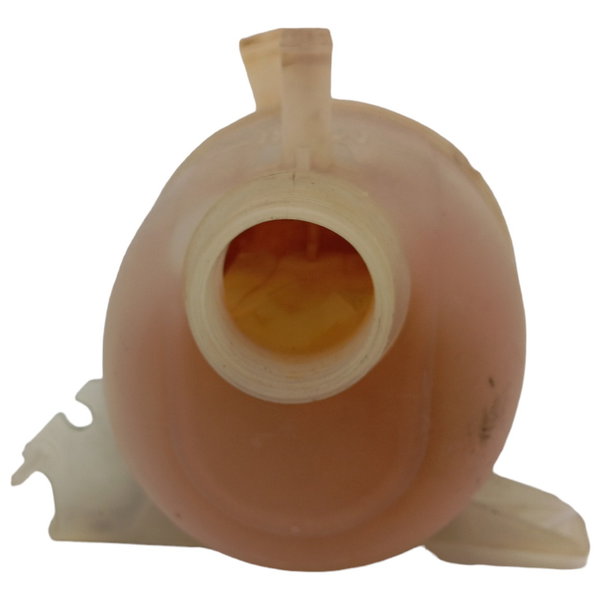 Reservatório Agua Radiador Renault Clio 2002 2003 2004 2005