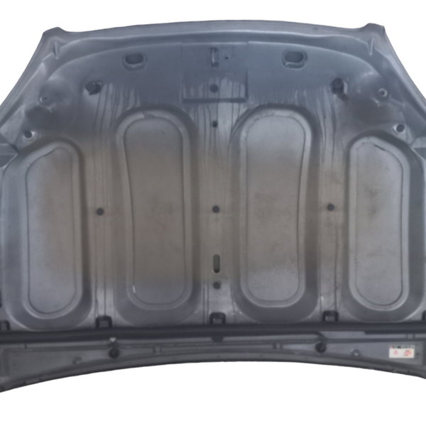 Capô Citroen C5 2005 Detalhes