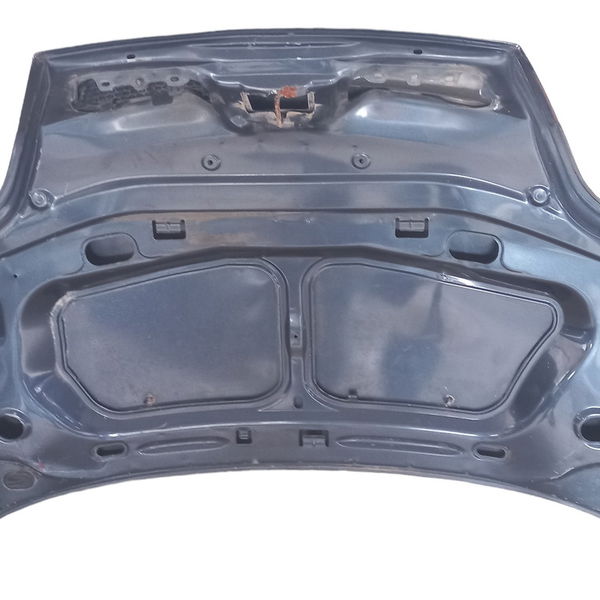 Capo Renault Scenic  Detalhes