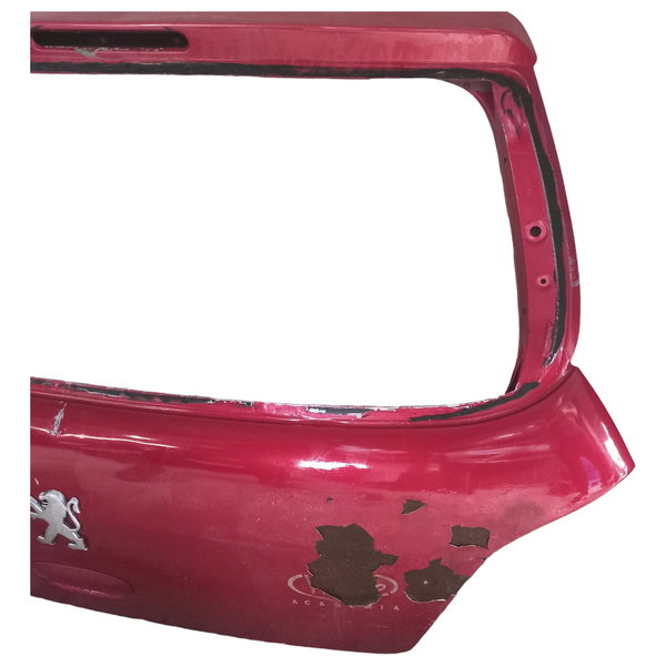 Tampa Traseira Peugeot 307 2005 Detalhes