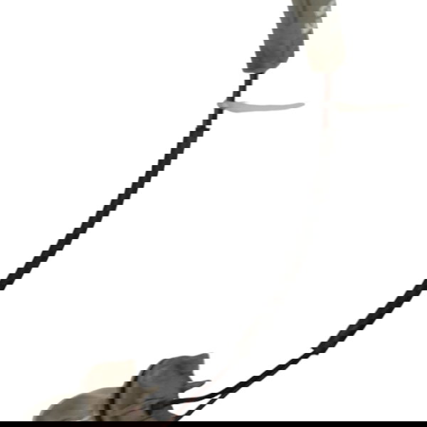 Soquete Lanterna Neblina Traseira  Chery Face 1.3 2010 2011