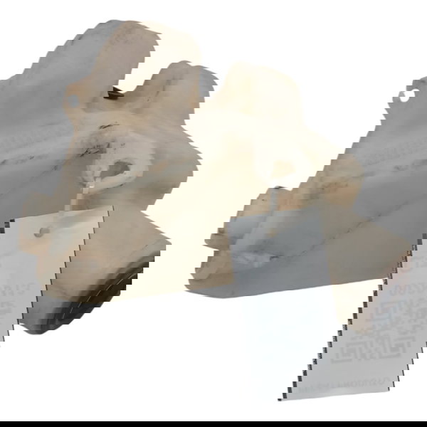 Reservatório Água Limpador Peugeot 2008 1.6 2016 2017 2018