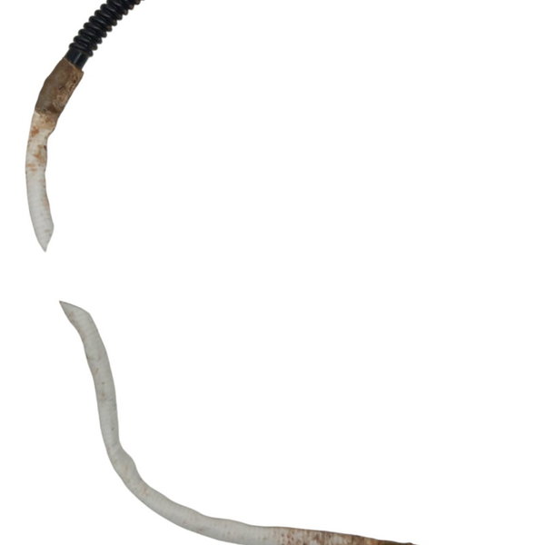 Sonda Lambda Catalisador Renault Fluence 2.0 2012 12 13 14