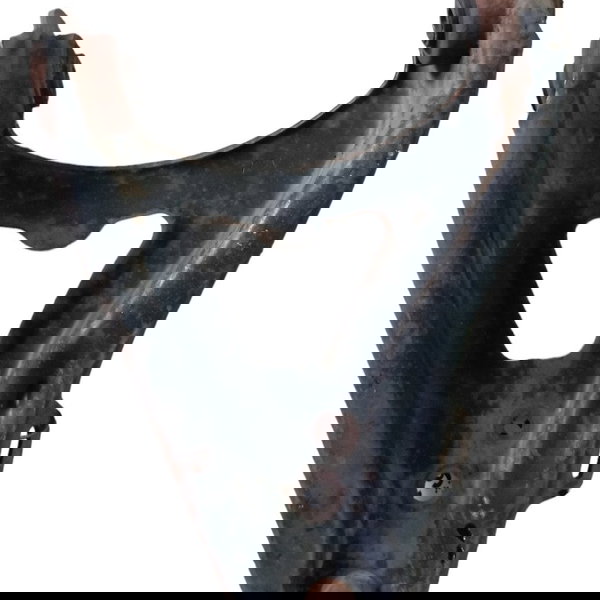 Balança Bandeja Suspensão Esquerda Clio Scenic 2005 06 07 08