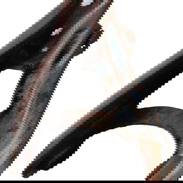 Balança Suspensão Dianteira Direita Renault Scenic 2005 2006