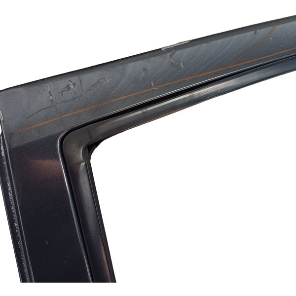 Porta Traseira Esquerda Renault Scenic 2003 Detalhe