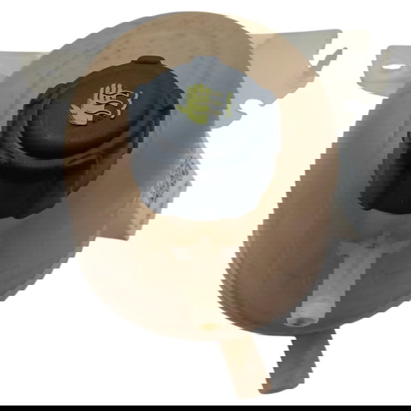 Reservatorio Agua Radiador Renault Kangoo 1.6 16v 2013 2014