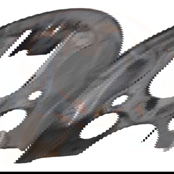 Prato Espelho Cubo Roda Traseira Citroen C4 2011 2012 2013