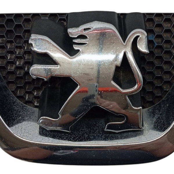 Emblema Grade Parachoque Dianteiro Peugeot 207 2009 2010 Prata