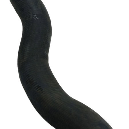 Mangueira Água Radiador Volkswagen Polo 2010