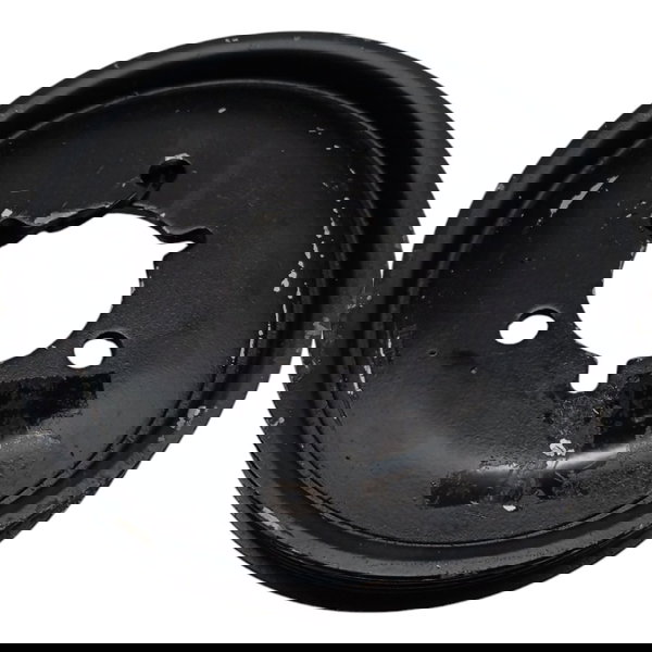 Polia Bomba Hidráulica Citroen C3 2003 2004 2005 2006 2007 Preto