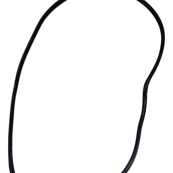 Borracha Porta Traseira Esquerda Nissan Kicks 2020 2021 2022