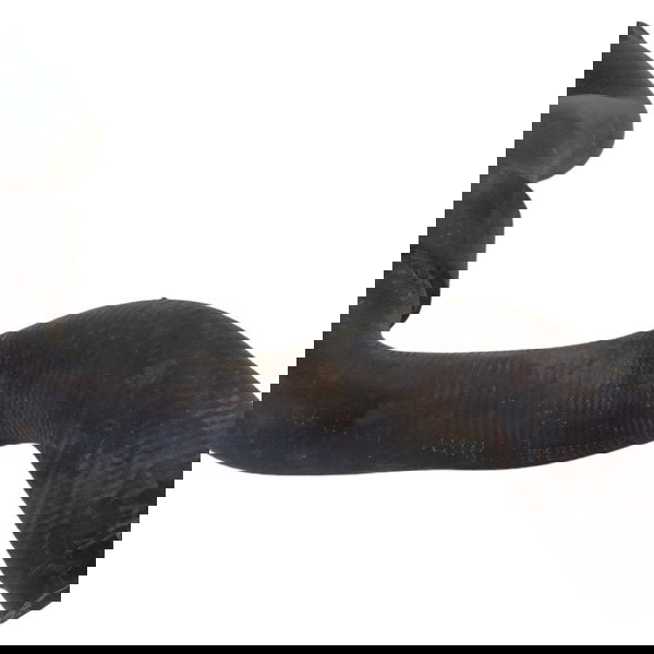 Mangueira Água Radiador Fiat Grand Siena 2014 2015 2016