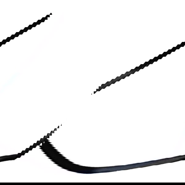 Guarnição Borracha Porta Dianteira Direita Renault Clio 2002