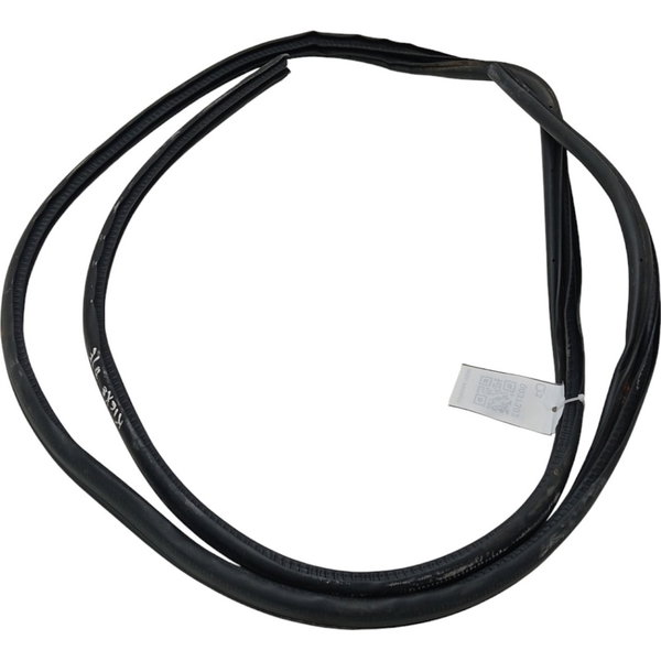 Borracha Porta Dianteira Esquerda Nissan Kicks 1.6 2020 2021 Preto