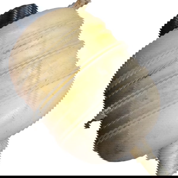 Reservatório Água Radiador Peugeot 207 2010