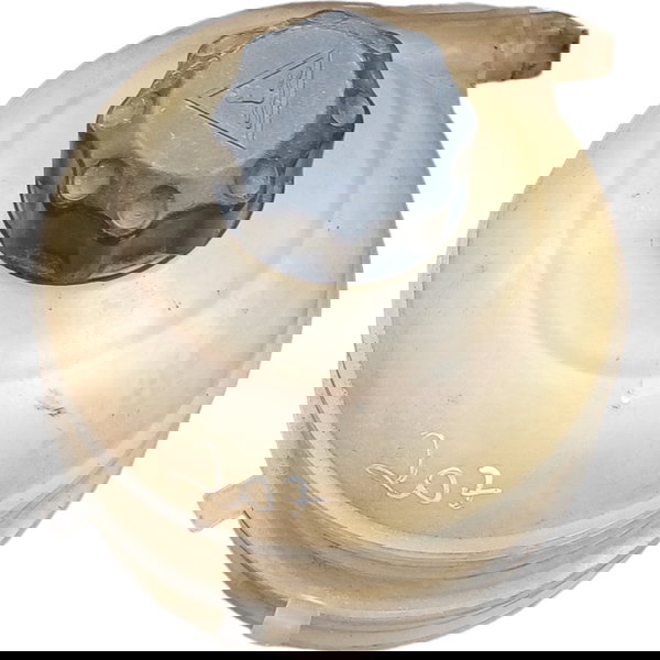 Reservatório Água Radiador Peugeot 207 2010