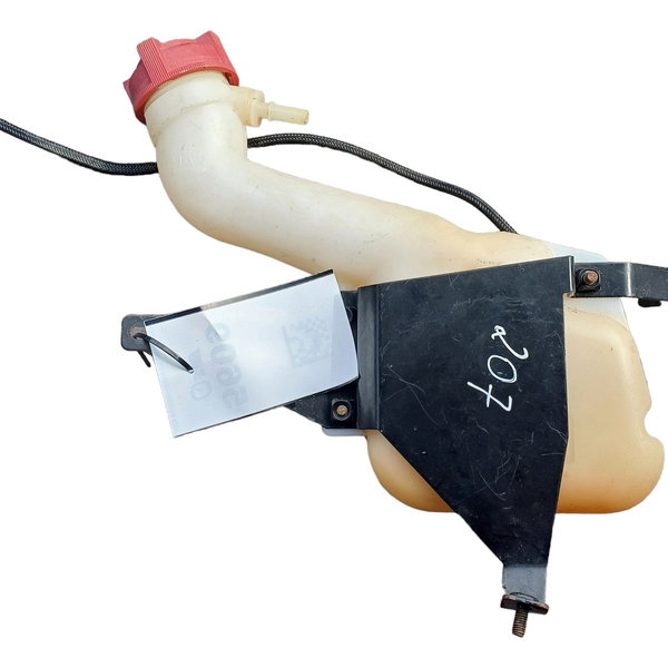 Reservatório Partida Frio Gasolina Peugeot 207 2009