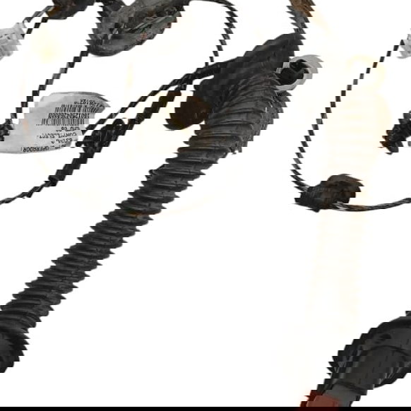 Chicote Porta Traseiro Esquerdo Renault Sandero 2017