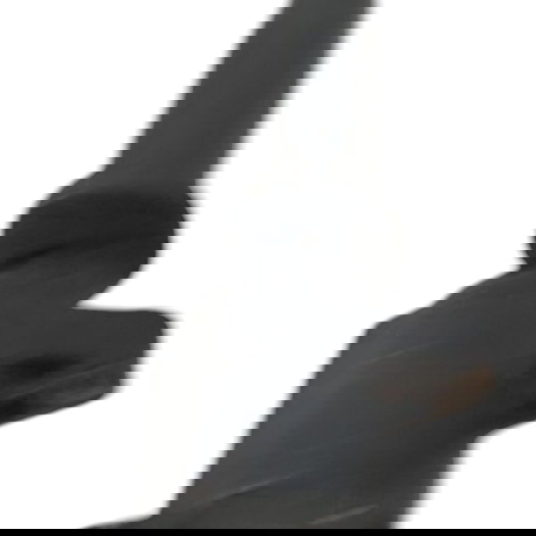 Bobina Ignição Ford Ecosport 2.0 2007 2008 2009