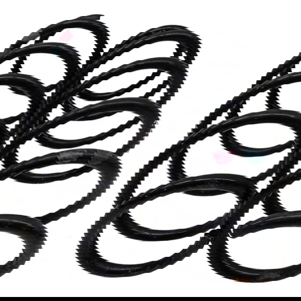 Par Molas Dianteiras Ford New Fiesta 1.6 2015 2016 2017