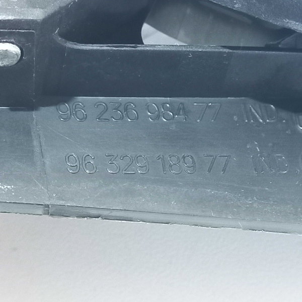 Maçaneta Interna Traseira Esquerda Peugeot 207 Prata Traseira