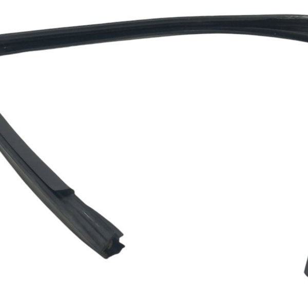 Borracha Vedação Porta Traseira Direita Fiat Palio 2011 Preto