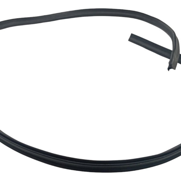 Borracha Canaleta Lateral Esquerda Citroen C3 2015 2016 2017 Preto