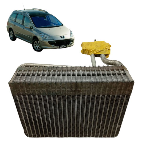 Evaporadora Ar Condicionado Peugeot 307 Sw 2005 206