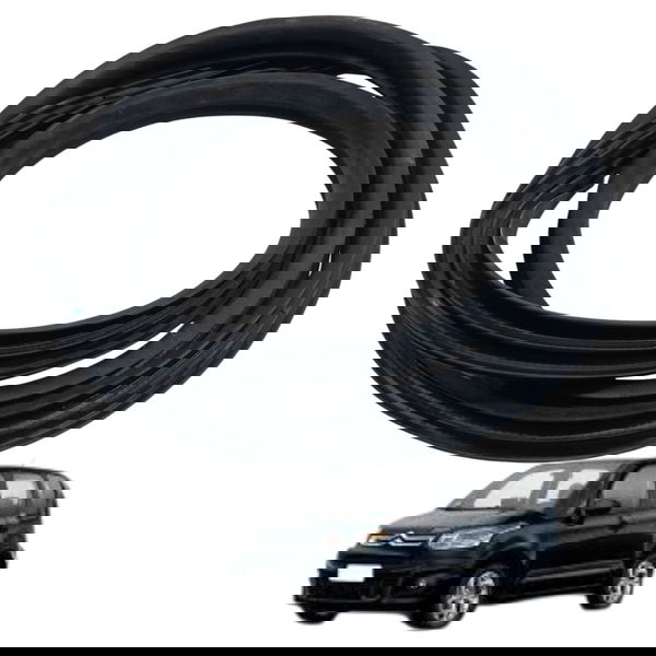 Borracha Porta Traseira Direita Citroen C3 Picasso 2012