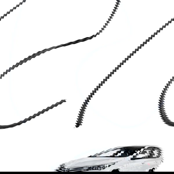 Borracha Vedação Porta Traseira Esquerda Toyota Corolla 2017