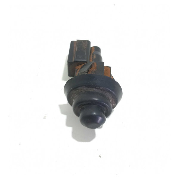 Interruptor Luz Porta Renault Clio