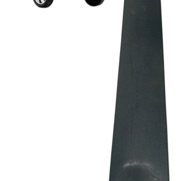 Friso Porta Traseira Direita Renault Clio 2004 2005