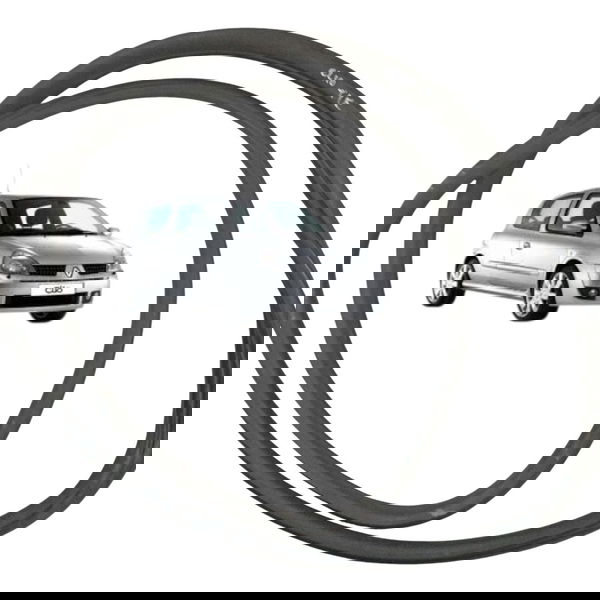 Borracha Porta Traseira Esquerda Renault Clio 2004 2005