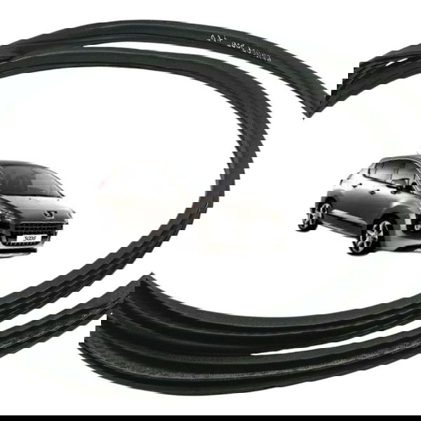 Borracha Vedação Porta Traseira Direita Peugeot 3008 2011