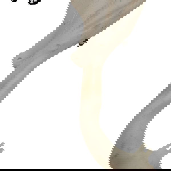 Reservatorio Agua Parabrisa Ford Ecosport 2002 2003