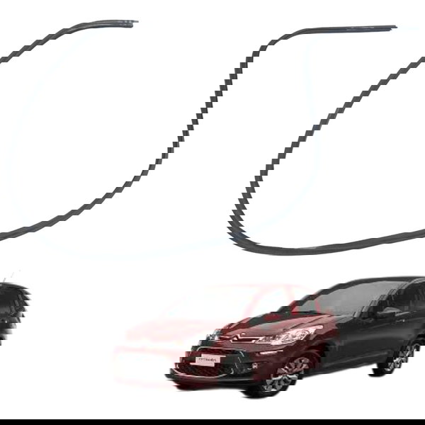 Borracha Canaleta Porta Direita Citroen C3 1.2 2018