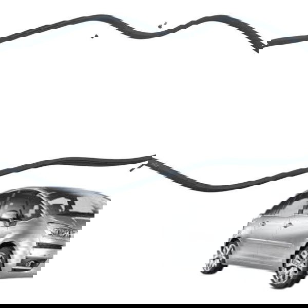 Borracha Porta Traseira Esquerda Citroen C4 Picasso 2009