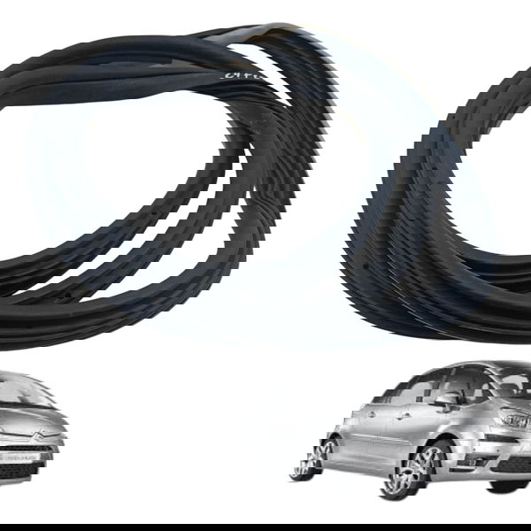 Borracha Porta Dianteira Direita Citroen C4 Picasso 2009