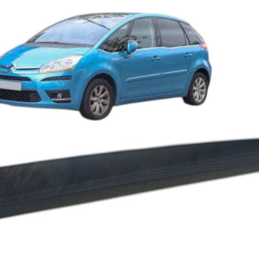 Friso Traseiro Esquerdo Citroen C4 Picasso 2009 Detalhe