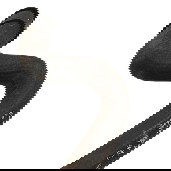 Mangueira Radiador Citroen C4 Picasso 2.0 2009