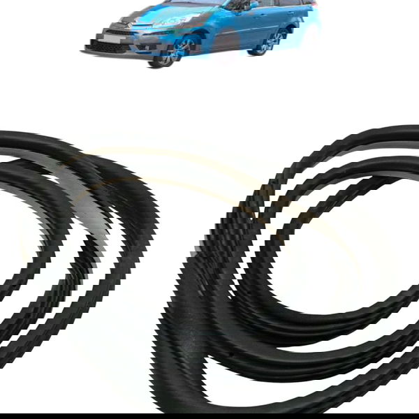 Borracha Porta Dianteira Esquerda Citroen C4 Picasso 2009