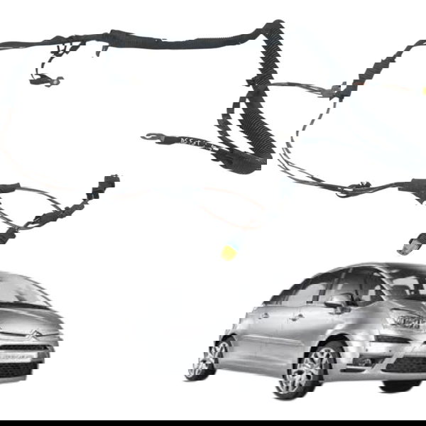 Cabo Chicote Positivo Citroen C4 Picasso 2009 2010