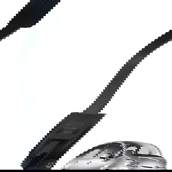 Pedal Acelerador Citroen C4 Picasso 2.0 2009 2010