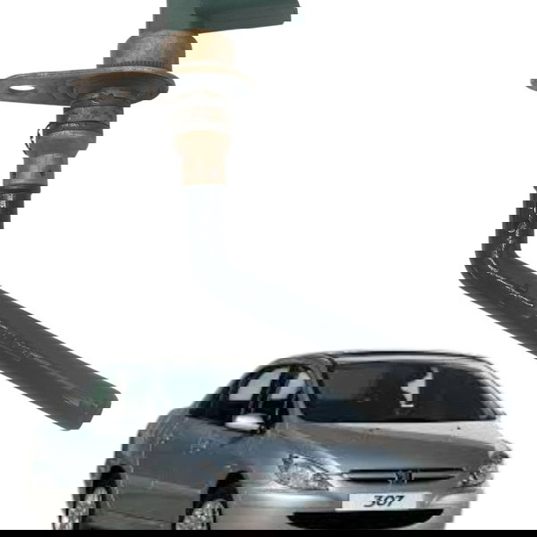 Sensor Nivel Oleo Peugeot 307 2.0 2004