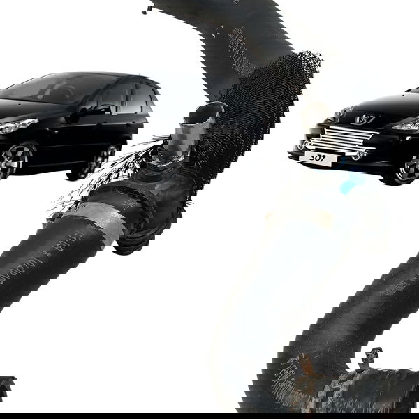 Mangueira Superior Radiador Peugeot 307 2.0 2008