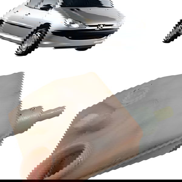 Cilindro Mestre Reservatorio Peugeot 206 1.6 2004